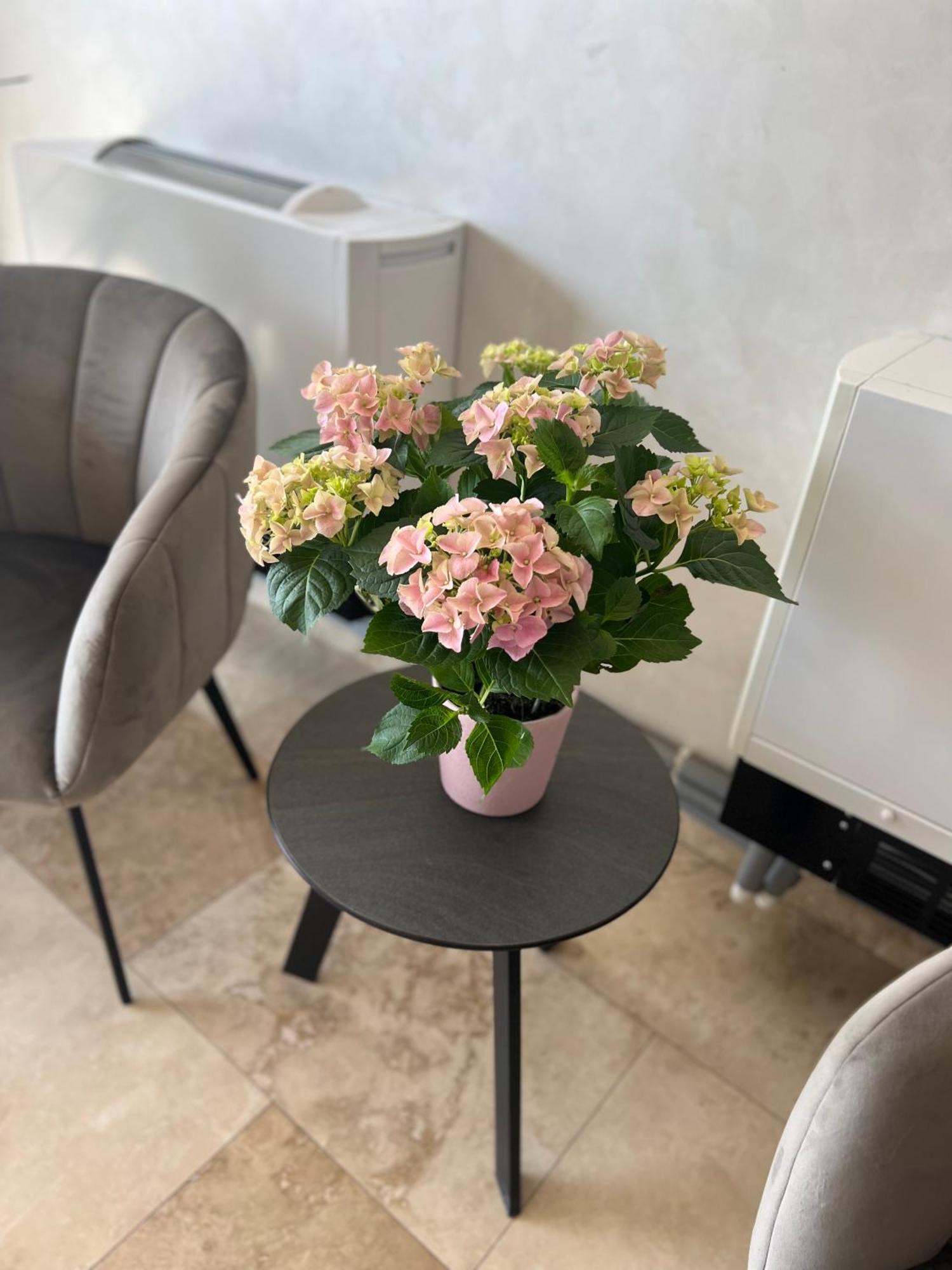 Hotel Del Ponte Targoviste Zewnętrze zdjęcie